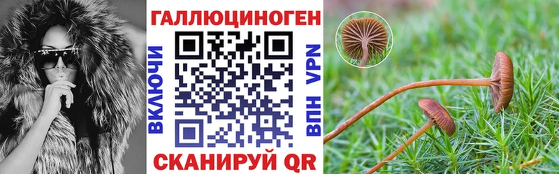 Псилоцибиновые грибы Psilocybe  ОМГ ОМГ как войти  Юрьев-Польский  даркнет сайт 